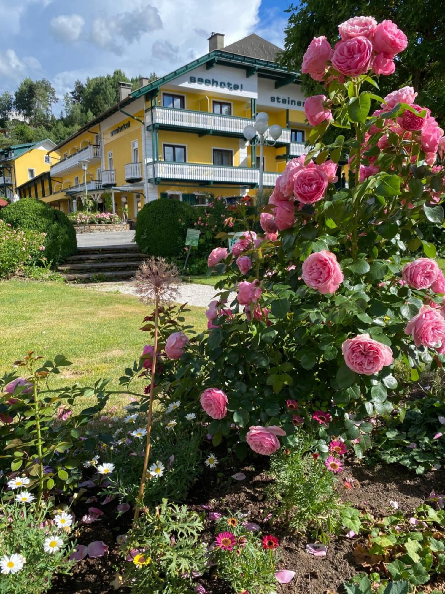 Seehotel Steiner